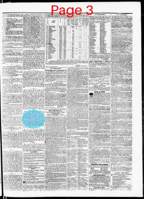 Page thumbnail for Bradford Reporter