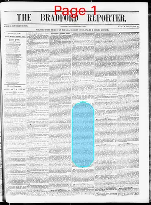 Page thumbnail for Bradford Reporter