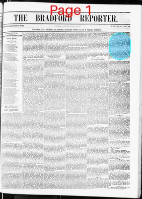 Page thumbnail for Bradford Reporter