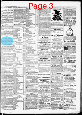 Page thumbnail for Bradford Reporter