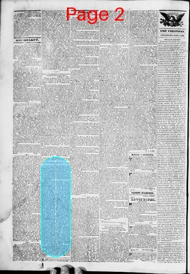 Page thumbnail for Lynchburg Virginian