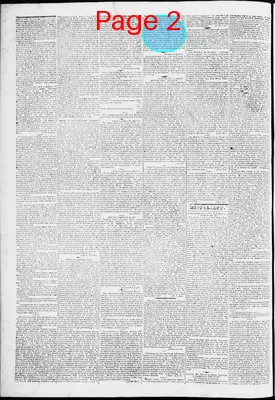 Page thumbnail for Lynchburg Virginian