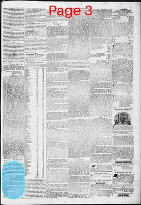 Page thumbnail for Lynchburg Virginian