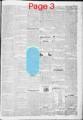 Page thumbnail for Lynchburg Virginian