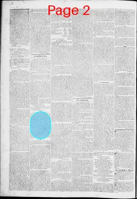 Page thumbnail for Lynchburg Virginian