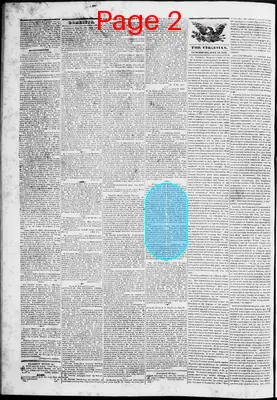 Page thumbnail for Lynchburg Virginian