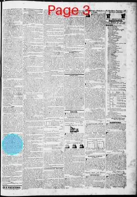 Page thumbnail for Lynchburg Virginian
