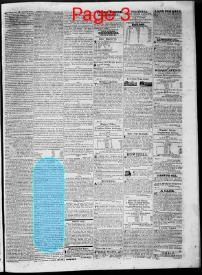 Page thumbnail for Lynchburg Virginian