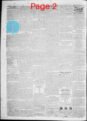 Page thumbnail for Lynchburg Virginian