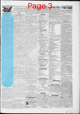 Page thumbnail for Lynchburg Virginian