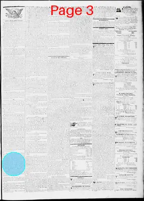 Page thumbnail for Lynchburg Virginian