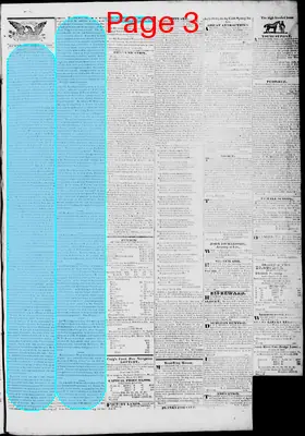 Page thumbnail for Lynchburg Virginian