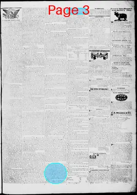 Page thumbnail for Lynchburg Virginian