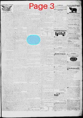 Page thumbnail for Lynchburg Virginian