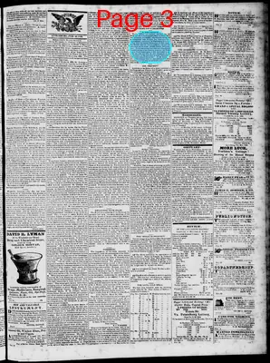 Page thumbnail for Lynchburg Virginian