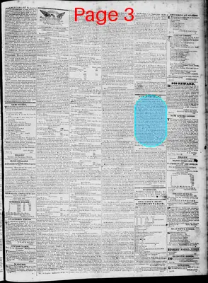 Page thumbnail for Lynchburg Virginian