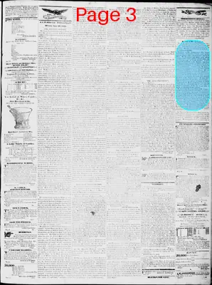 Page thumbnail for Lynchburg Virginian