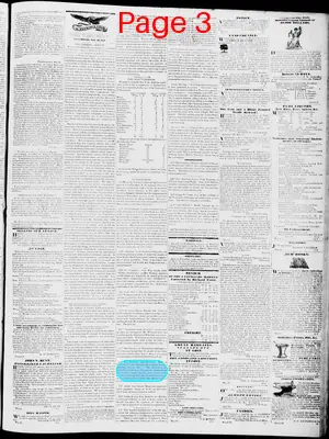 Page thumbnail for Lynchburg Virginian