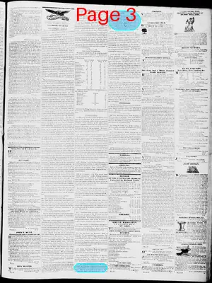 Page thumbnail for Lynchburg Virginian