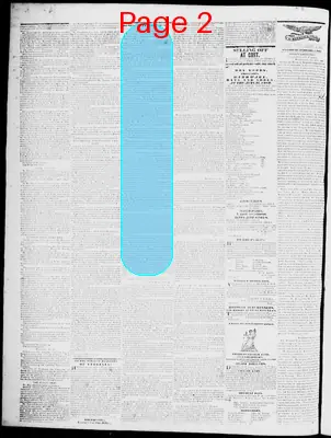 Page thumbnail for Lynchburg Virginian