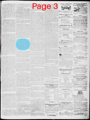 Page thumbnail for Lynchburg Virginian
