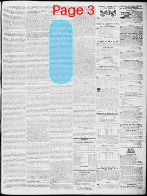 Page thumbnail for Lynchburg Virginian