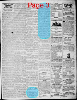 Page thumbnail for Lynchburg Virginian