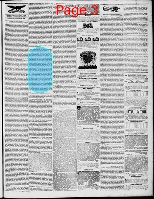 Page thumbnail for Lynchburg Virginian