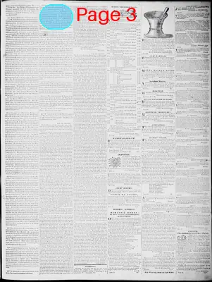 Page thumbnail for Lynchburg Virginian