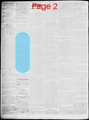Page thumbnail for Lynchburg Virginian