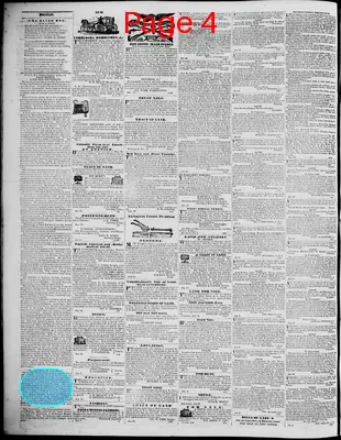 Page thumbnail for Lynchburg Virginian
