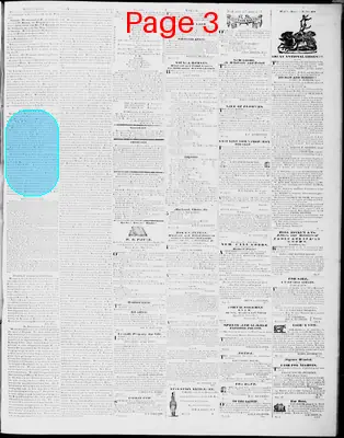 Page thumbnail for Lynchburg Virginian