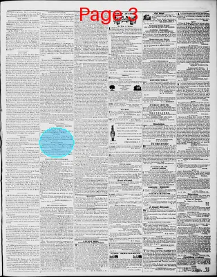 Page thumbnail for Lynchburg Virginian
