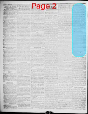 Page thumbnail for Lynchburg Virginian
