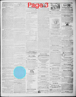 Page thumbnail for Lynchburg Virginian