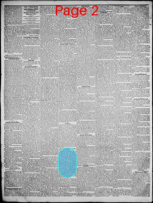Page thumbnail for Lynchburg Virginian