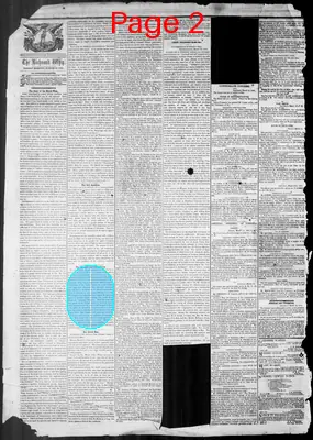 Page thumbnail for Richmond Whig