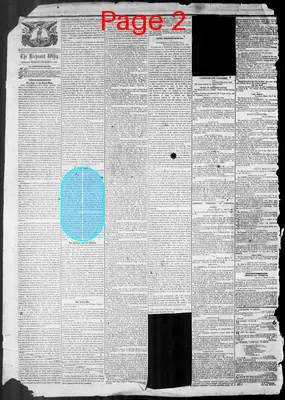 Page thumbnail for Richmond Whig