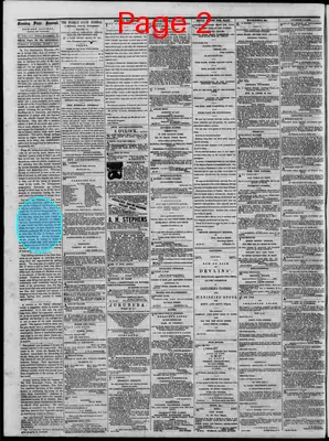 Page thumbnail for The Daily State Journal