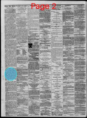 Page thumbnail for The Daily State Journal