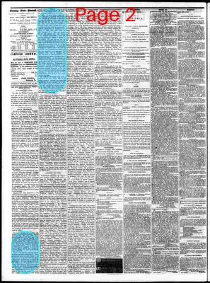 Page thumbnail for The Daily State Journal