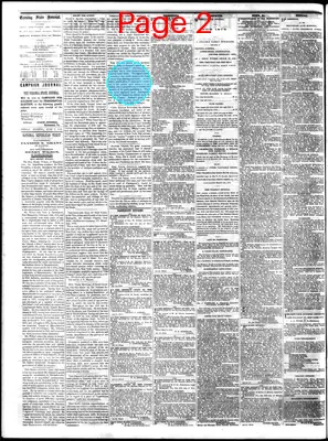 Page thumbnail for The Daily State Journal