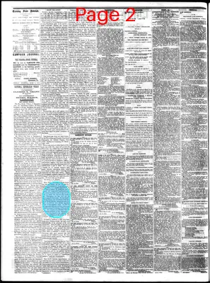 Page thumbnail for The Daily State Journal