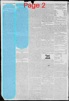 Page thumbnail for Virginia Argus