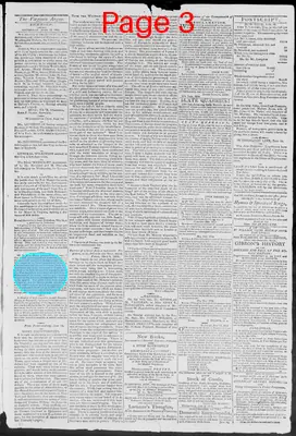 Page thumbnail for Virginia Argus