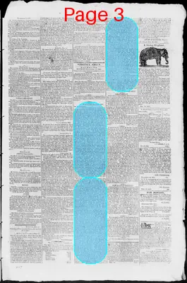 Page thumbnail for Virginia Argus