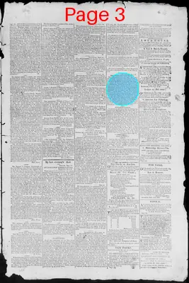 Page thumbnail for Virginia Argus