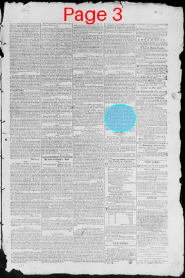 Page thumbnail for Virginia Argus