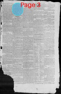 Page thumbnail for Virginia Argus