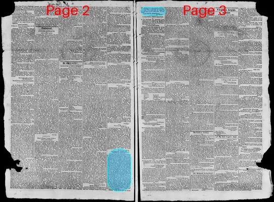 Page thumbnail for Virginia Argus